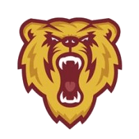 Barron school logo