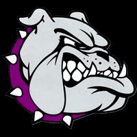 Boyceville school logo