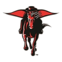 Bruce school logo