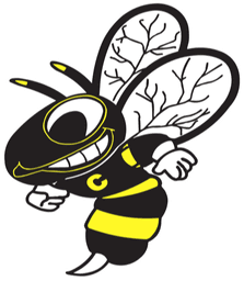 Cadott Hornets school logo