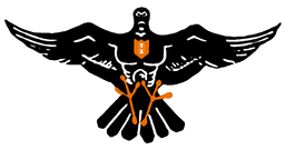 Iola-Scandinavia Thunderbirds school logo