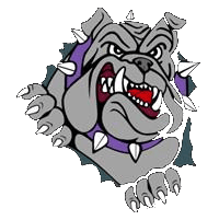 Ithaca school logo