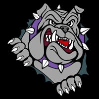 Ithaca school logo