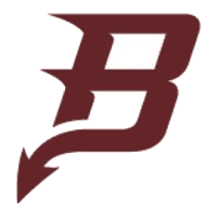 Kenosha Bradford school logo