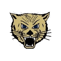 Lake Mills school logo