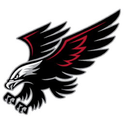 Owen-Withee Blackhawks school logo