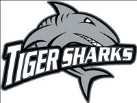 Princeton school logo
