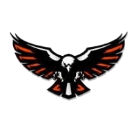 Viroqua school logo