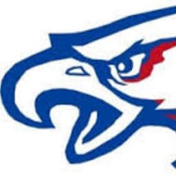Alma/Pepin Eagles co-op school logo